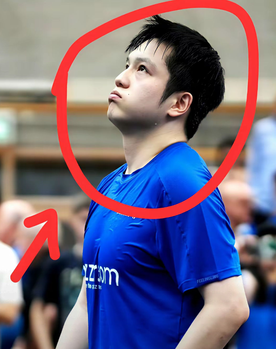 波兰队碾压葡萄牙队,樊振东统治全场 波兰队碾压葡萄牙队,樊振东统治全场